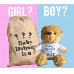 Personalised Gender Reveal Teddy Bear With Matching Gift Bag - Baby Holmes Design - Boy Girl